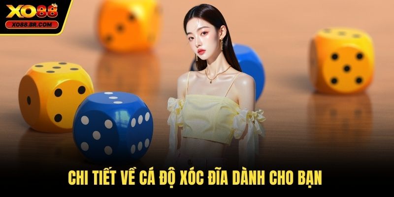 Chi tiết về cá độ xóc đĩa dành cho bạn 